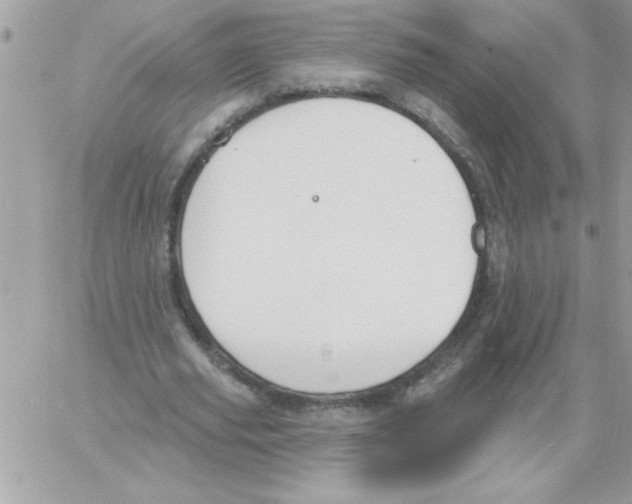 X0000061730629200512302146