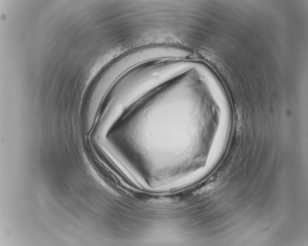 X0000061730630200512302146