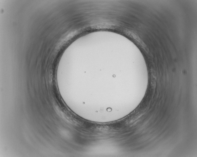 X0000061730631200512302146