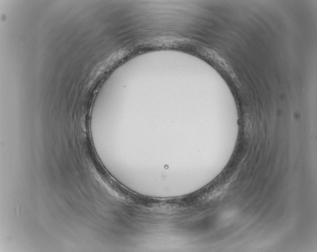 X0000061730633200512302146