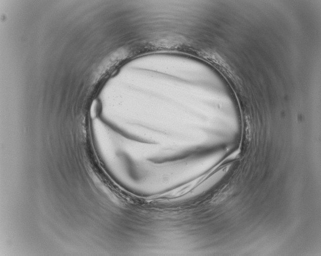 X0000061730634200512302146