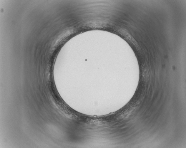 X0000061730635200512302146