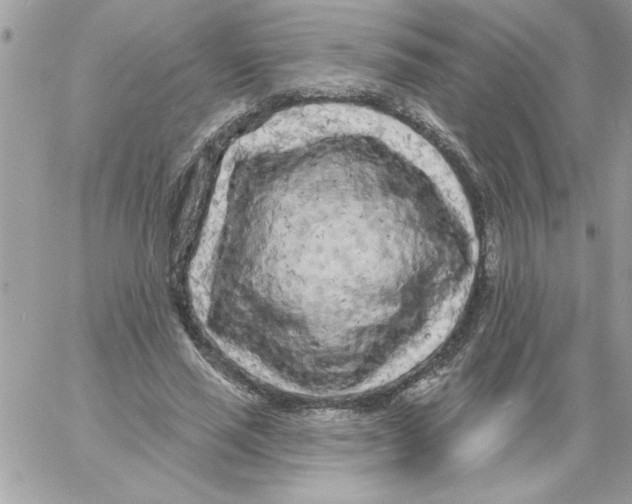 X0000061730637200512302146