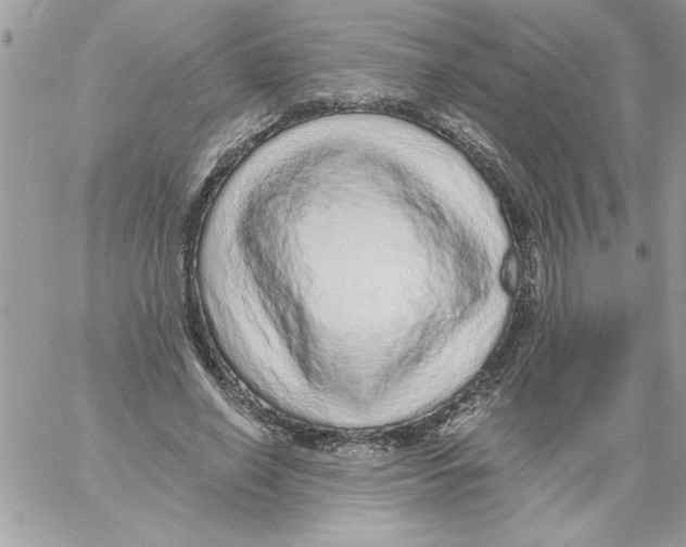 X0000061730638200512302147