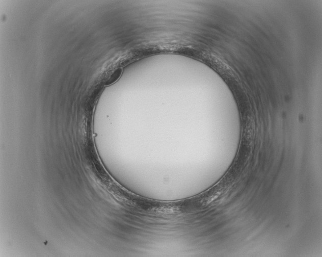 X0000061730639200512302147