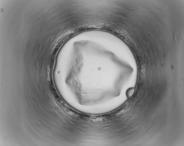 X0000061730640200512302147