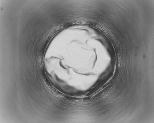 X0000061730641200512302147