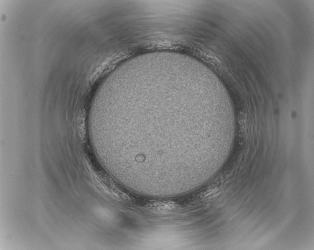 X0000061730642200512302147