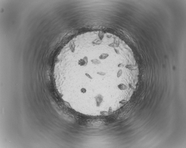 X0000061730643200512302147