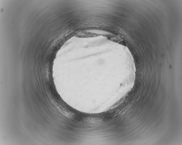 X0000061730644200512302147