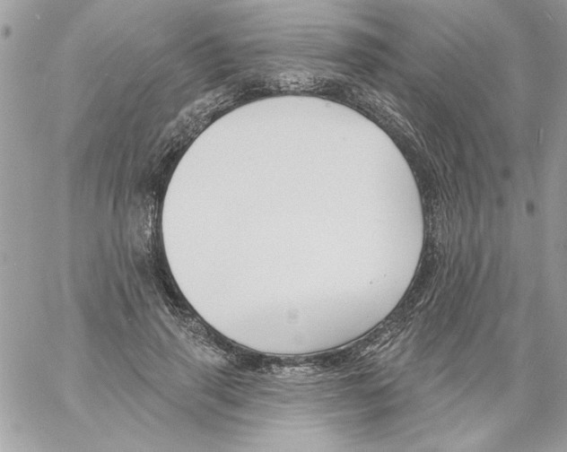 X0000061730645200512302147