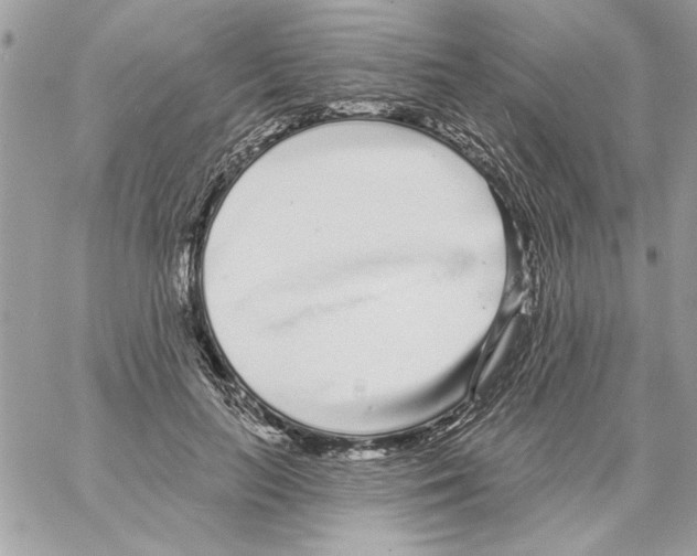 X0000061730647200512302147