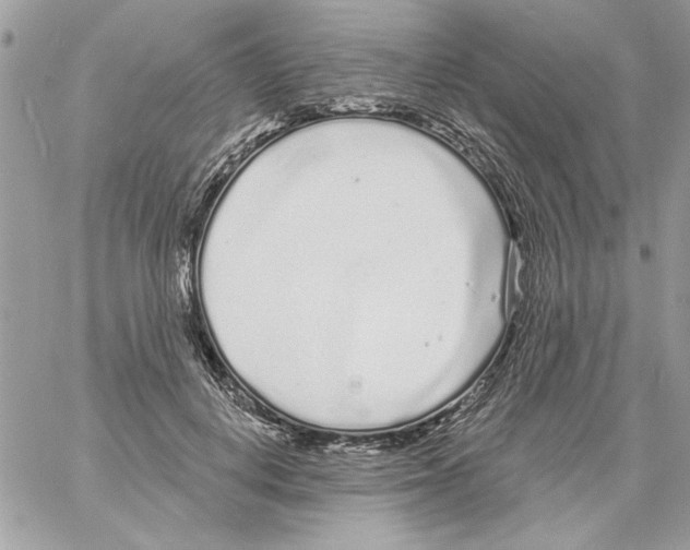 X0000061730648200512302147