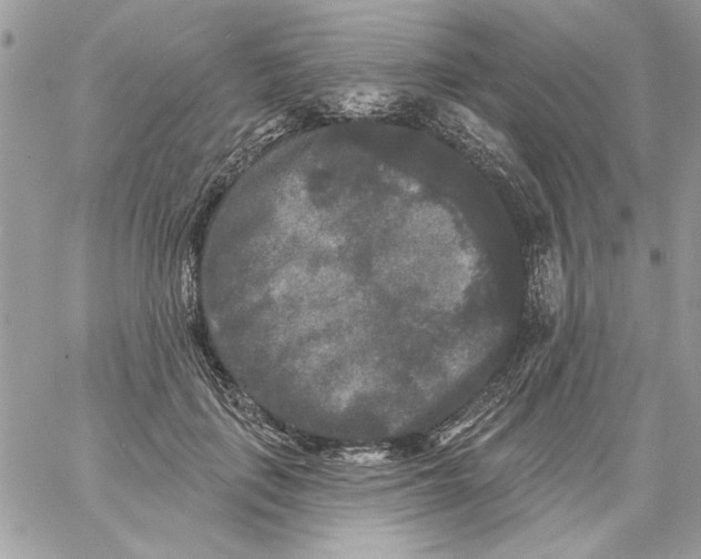 X0000061730651200512302147