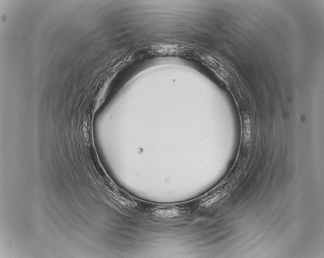 X0000061730653200512302147