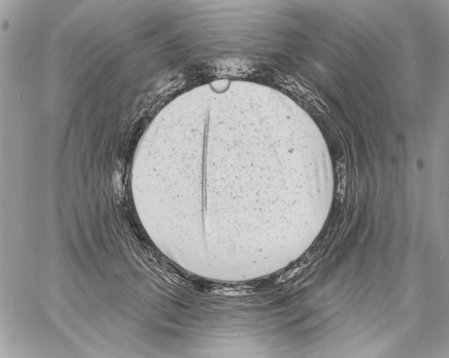 X0000061730655200512302147