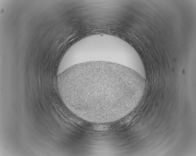 X0000061730656200512302147