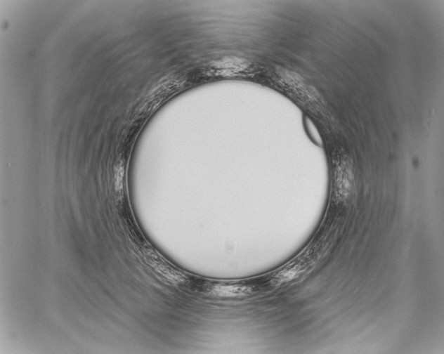 X0000061730657200512302147