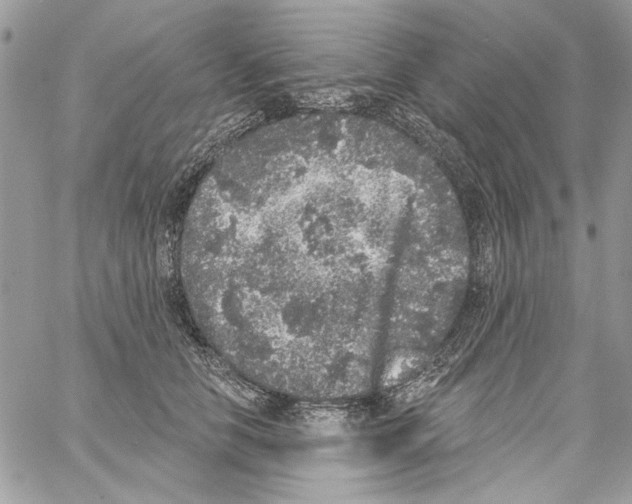 X0000061730658200512302147