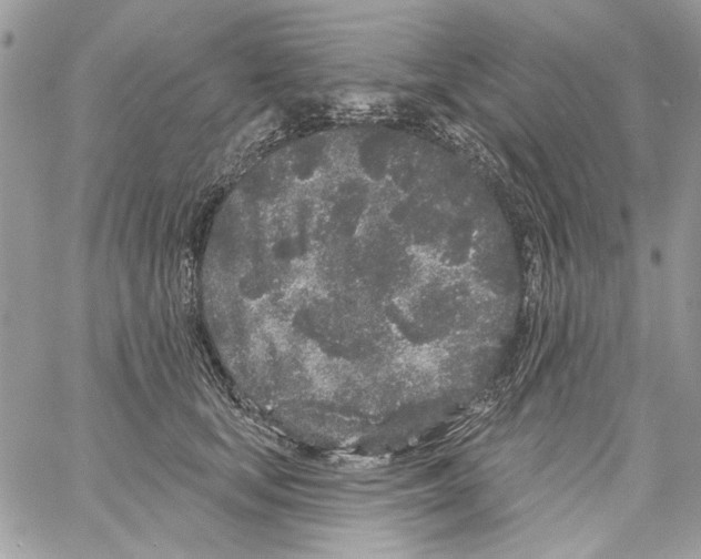 X0000061730659200512302147