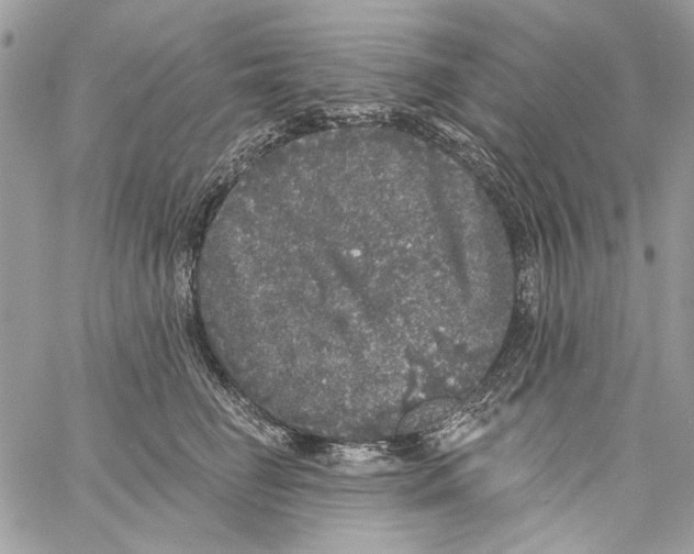 X0000061730662200512302147