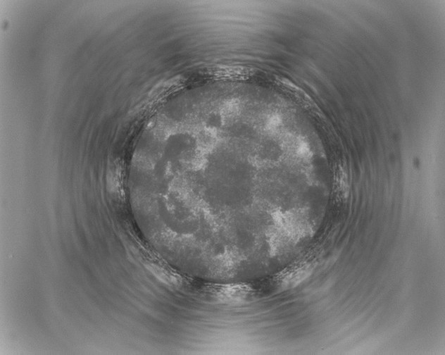 X0000061730663200512302147