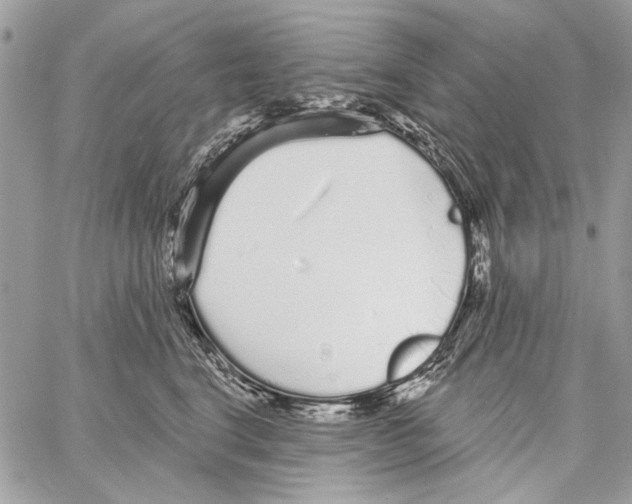 X0000061730664200512302147