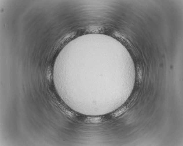 X0000061730665200512302147