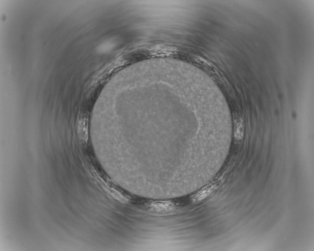 X0000061730666200512302147