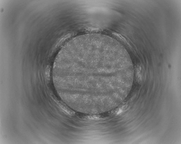 X0000061730668200512302147