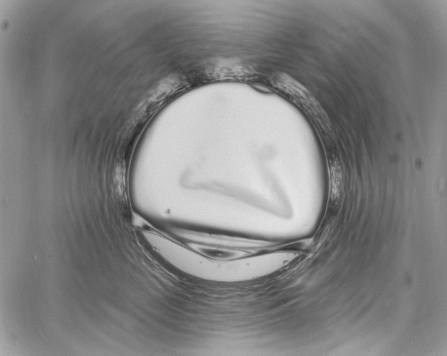 X0000061730669200512302147