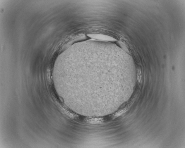 X0000061730670200512302147