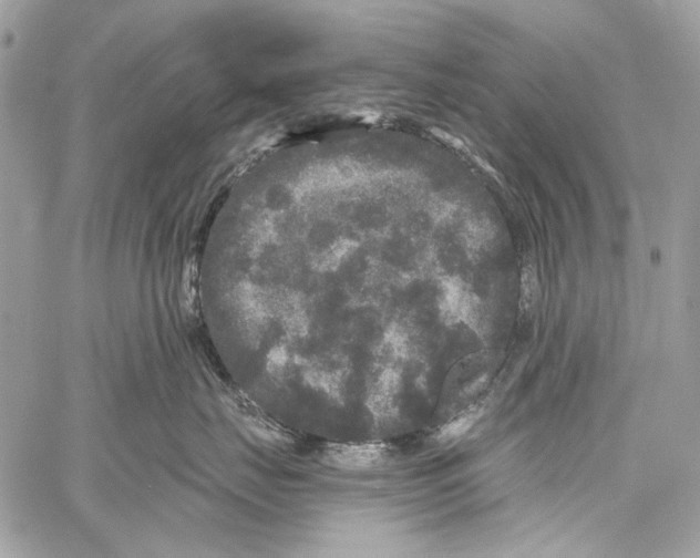 X0000061730671200512302147