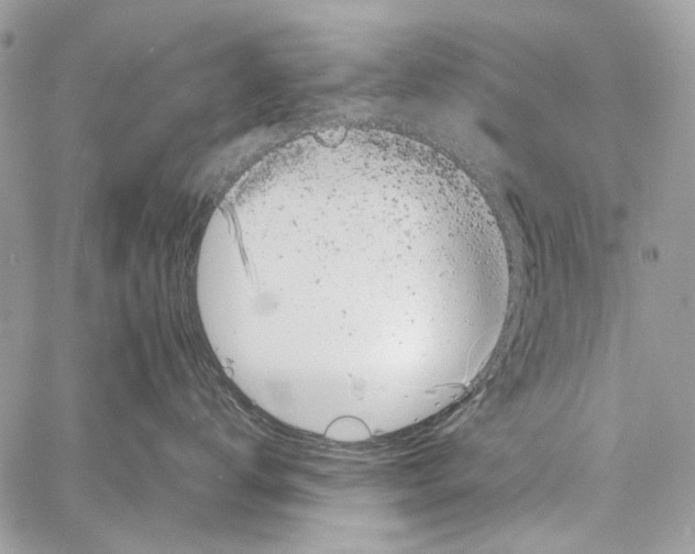 X0000061730672200512302147