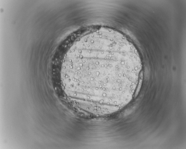 X0000061730673200512302146