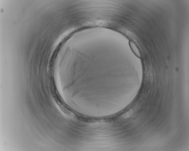 X0000061730674200512302146