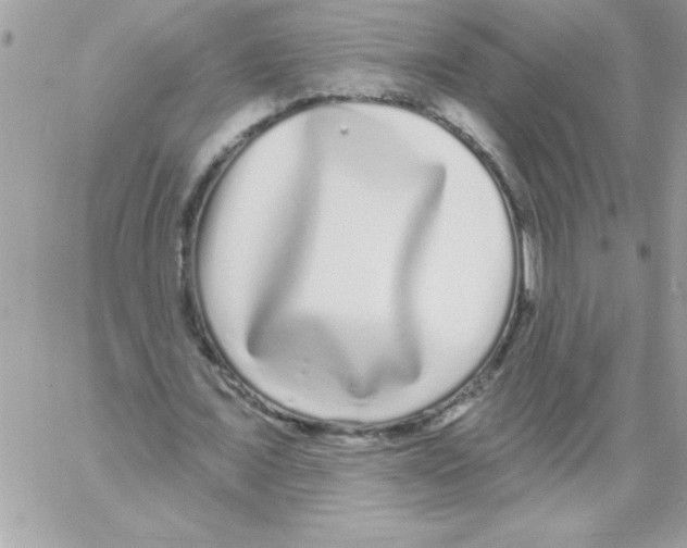 X0000061730675200512302146