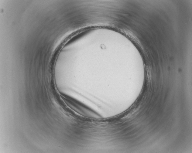 X0000061730676200512302146