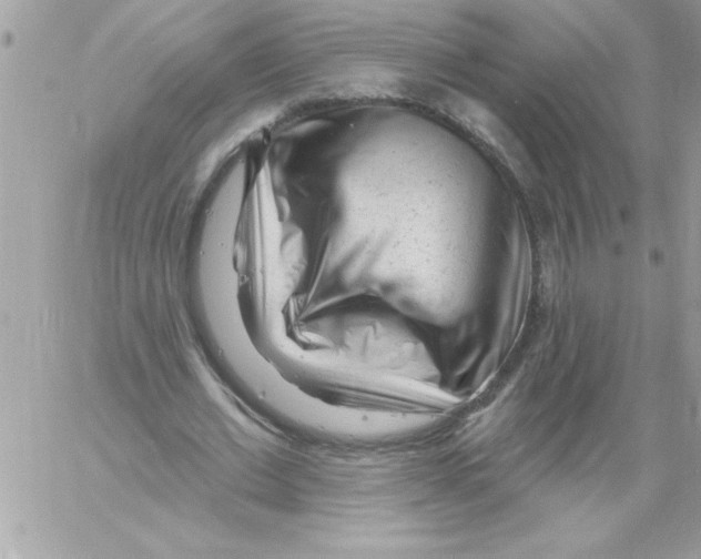 X0000061730677200512302146