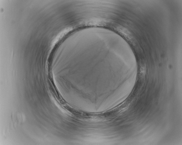 X0000061730678200512302146