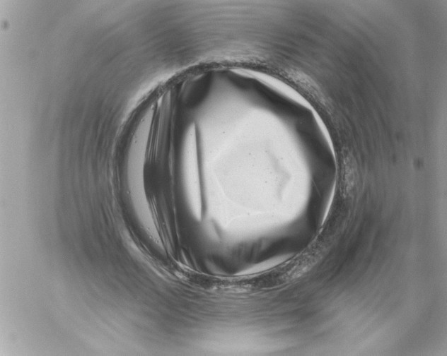 X0000061730680200512302146