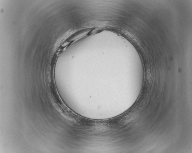 X0000061730682200512302146