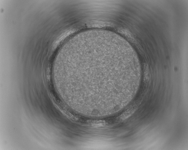 X0000061730683200512302146