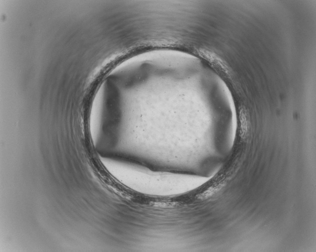 X0000061730684200512302146