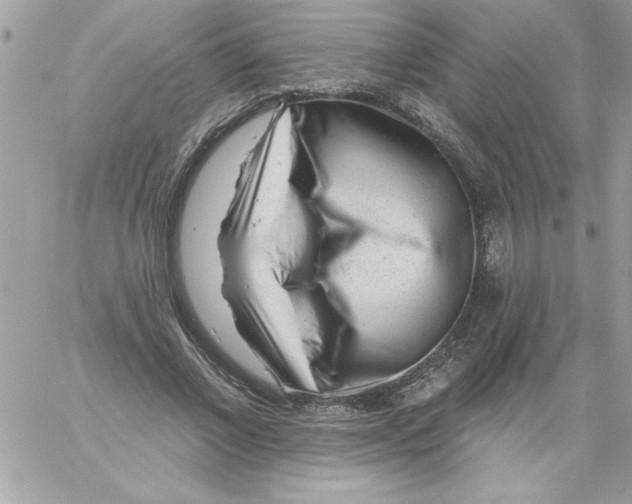 X0000061730685200512302146