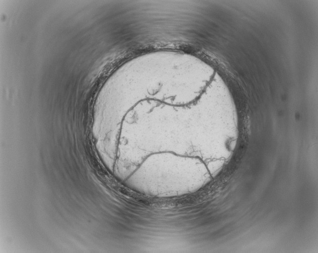 X0000061730687200512302146