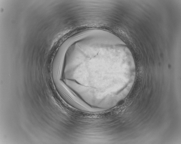 X0000061730688200512302146