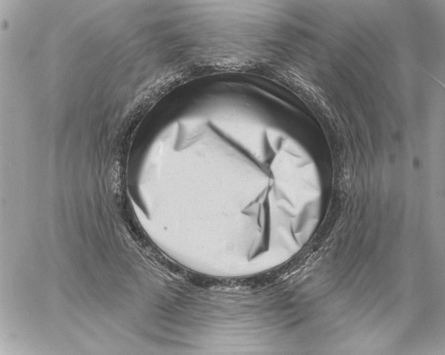 X0000061730689200512302146