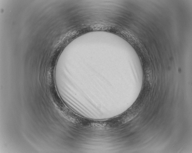 X0000061730690200512302146