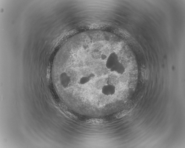 X0000061730691200512302146